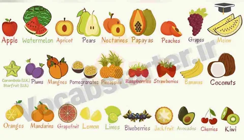 میوه‌ها به انگلیسی با تلفظ دقیق! کاربردی‌ترین میوه‌ها در انگلیسی